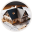 Ashampoo 3D CAD Architecture 11 11.0.0 Ashampoo 3D CAD Architecture 11 11.0.0 32x32 pixels icon
