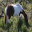 Beautiful Horse Screensavers 1.0 32x32 pixels icon