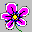 Beautiful Iris Screen Saver 5.0 Beautiful Iris Screen Saver 5.0 32x32 pixels icon