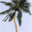 Beautiful Tropical Islands vol.1 1.0.5 32x32 pixels icon