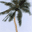 Beautiful Tropical Islands vol.1 Icon