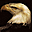 Birds of Prey Free Screensaver 2.0.2 32x32 pixels icon