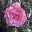 BrightSpot 1.1 BrightSpot 1.1 32x32 pixels icon