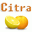 Citra Pivot 1.0.4 32x32 pixels icon