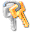 Colock Copy Protection Icon