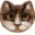 CompliCatSame 1.02 CompliCatSame 1.02 32x32 pixels icon