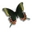 Desktop Butterflies 3D Screensaver 1.0 32x32 pixels icon