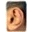 Dolce Ear Training 1.9.6 32x32 pixels icon