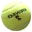 Dream Match Tennis Icon