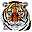 FileTiger Icon