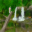Forest Waterfall 3D Icon