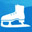 Freeware .NET Obfuscator Skater Light 8.8.3 32x32 pixels icon