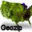 Geozip 1 32x32 pixels icon