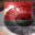 Lanapsoft BotDetect ASP.NET CAPTCHA 2.0.10.0 32x32 pixels icon