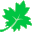 Maple Reader Icon