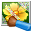 Neat Image 9.1.5 32x32 pixels icon