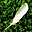 Nice Feathers Free Screensaver 2.0.2.7 32x32 pixels icon