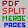 Pdf Split Merge Pages Icon
