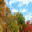 Perfect Autumn Screensaver 1 32x32 pixels icon
