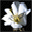 Shakespeare Plus 1.0 32x32 pixels icon