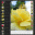 Showcase Image Gallery 1.0 32x32 pixels icon