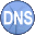 Simple DNS Plus Icon