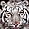 Tigers Free Screensaver 2.0.3 32x32 pixels icon