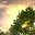 Free 3D Valley Screensaver 1.0 32x32 pixels icon