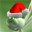 Free Christmas Dreams Screensaver 1.0 32x32 pixels icon