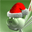 Free Christmas Dreams Screensaver Icon