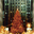 Free Christmas Party Screensaver 1.0 32x32 pixels icon