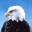 Free Winter Spirit Screensaver 1.0 32x32 pixels icon