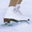 Free Winter Sports Screensaver 1.0 32x32 pixels icon