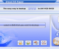 Ahead DVD Ripper Screenshot 0