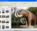 Better JPEG photo editor Screenshot 0