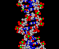 BioMolecula 3D ScreenSaver Screenshot 0