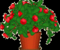 DesktopPlant Screenshot 0