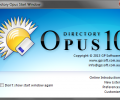Directory Opus Screenshot 5
