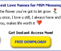 Love MSN Names Screenshot 0