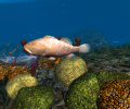 OceanDive Screenshot 1