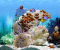 FP :: Amazing 3D Aquarium ADD-on  :: Chaetodont II - Fish Pack Screenshot 0