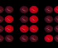 Scotts Binary Clock Screenshot 0