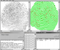 VeriFinger Standard SDK (Linux Demo) Screenshot 0