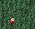 XMasMan Screenshot 0