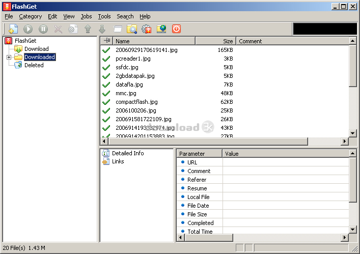 FlashGet 1.9.6 (flashget196en.exe) Windows Download and Review