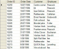 Infralution Virtual Data Objects Screenshot 0