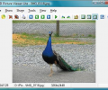 AD Picture Viewer Lite Screenshot 0