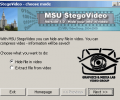 MSU StegoVideo Screenshot 0