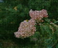 Animated Pictures Screenshot 0
