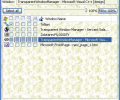 Transparent Window Manager Screenshot 0